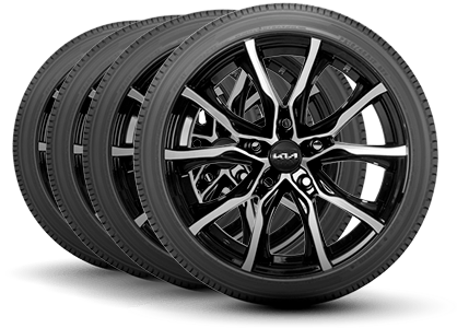 Hayward Kia in Hayward CA