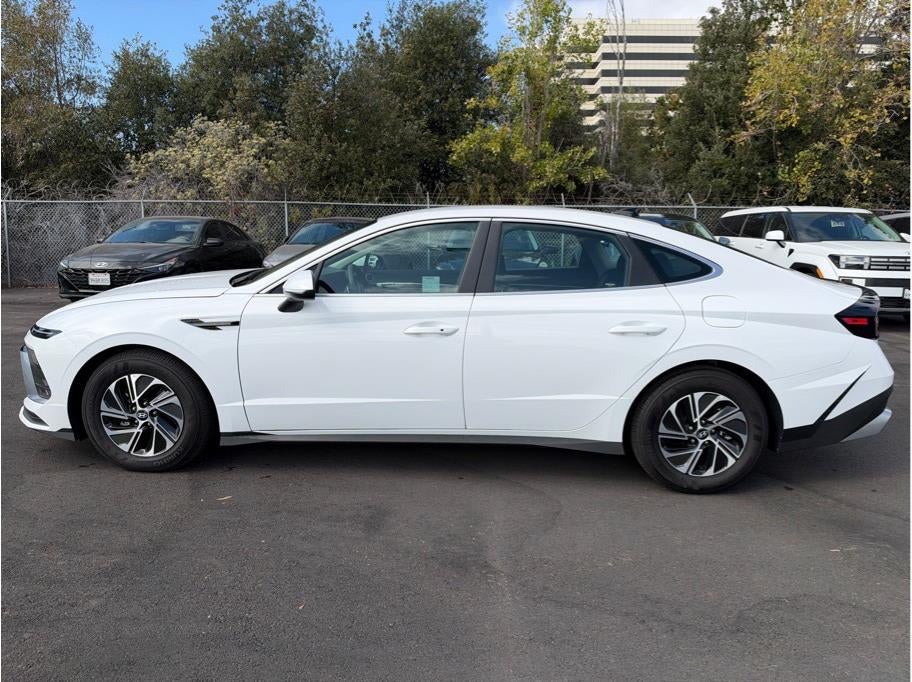 2026 Hyundai Sonata Hybrid Blue Sedan 4D