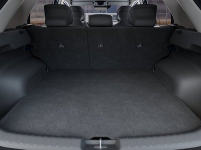 2026 Kia Niro EV Wind Wagon 4D