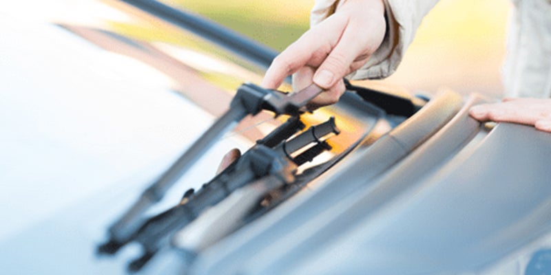 Hayward Kia in Hayward CA